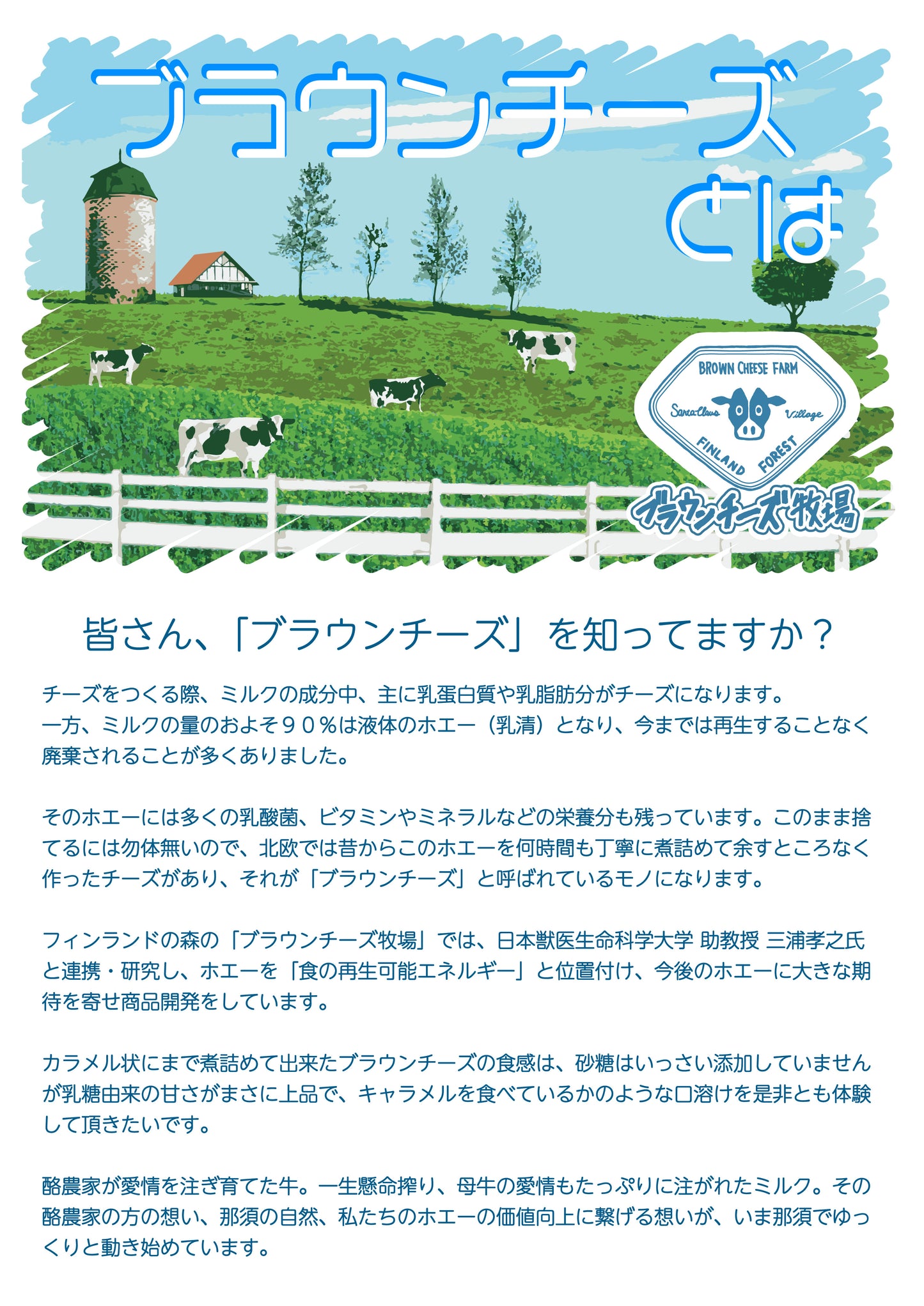 ブラウンチーズクッキー Meri メリ 3枚入 10セット